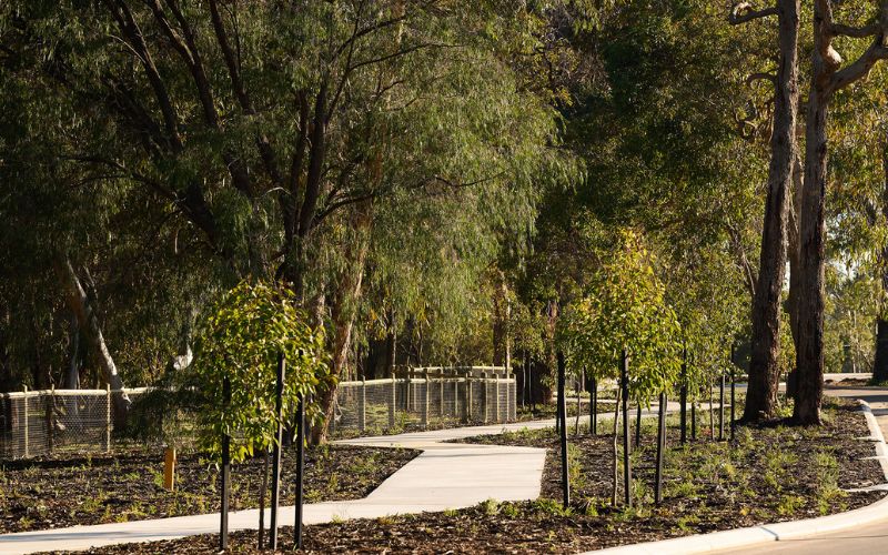 Myella Estate - Wanneroo