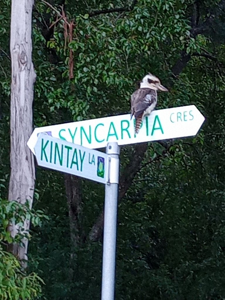 Narara Ecovillage - N Park
