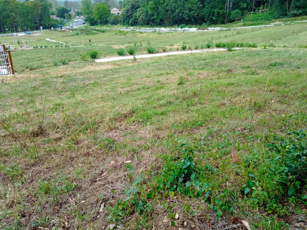 Narara Ecovillage - N External