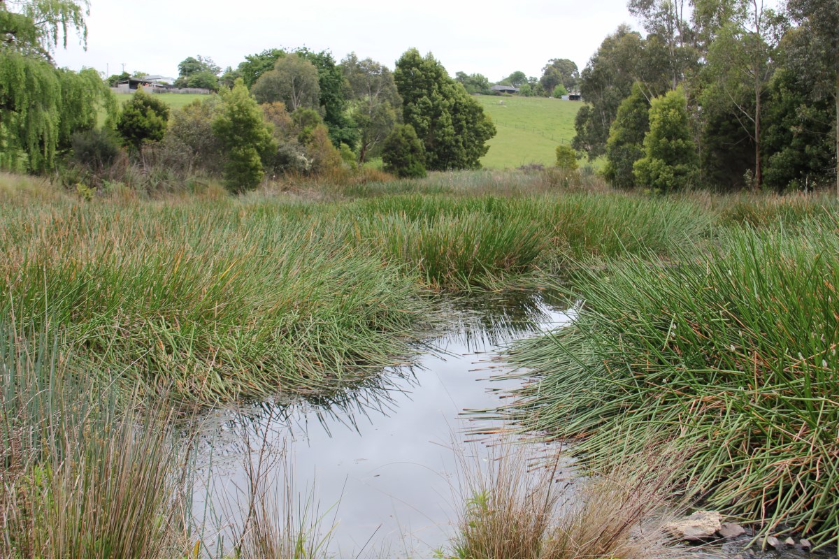 Neerim Lakes Estate - Neerim South 