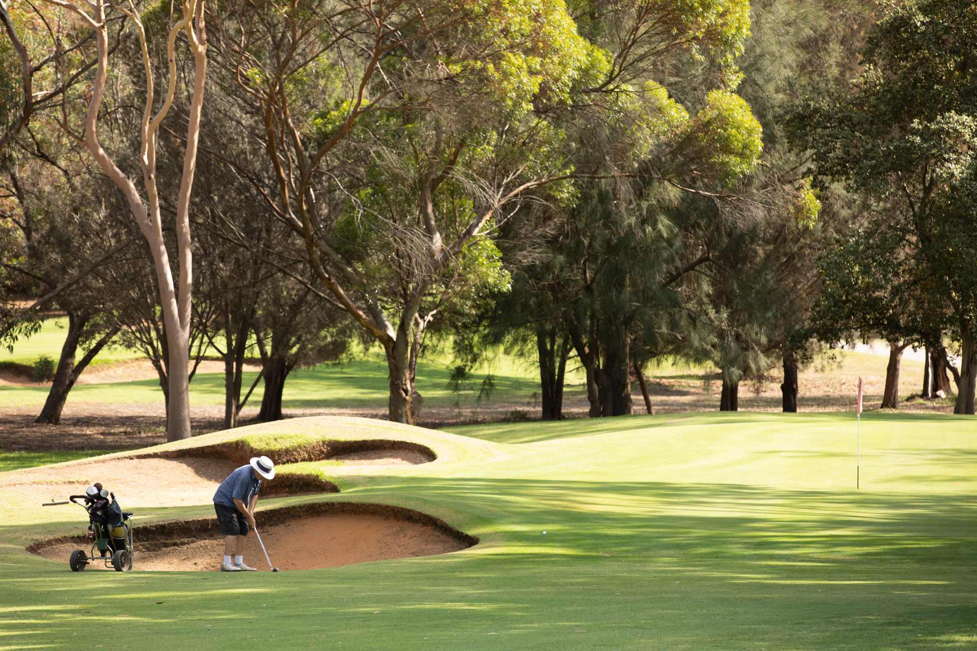 Newbridge Estate - Murray Bridge Lifestyle 3
