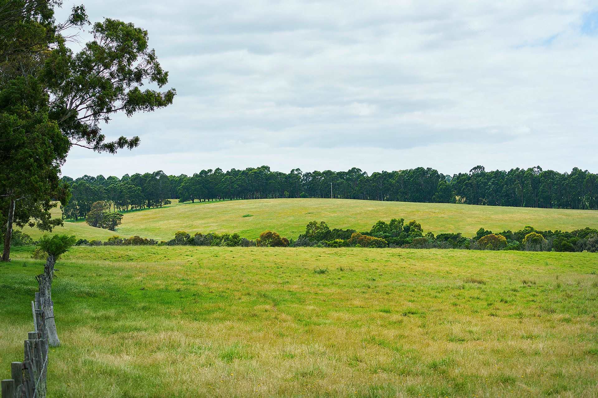 Nicholson River Estate - Nichols Location Map