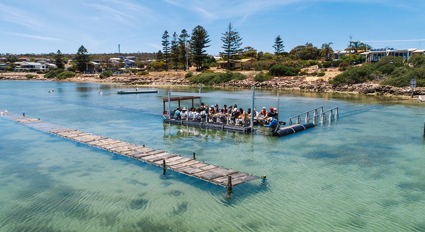 ONE Coffin Bay Estate - Coffin Bay