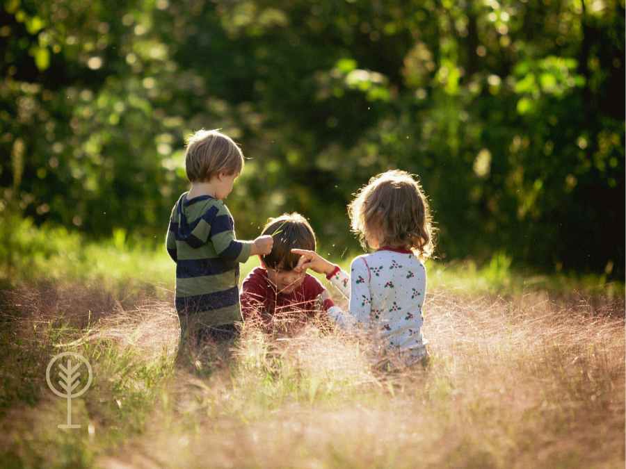 Oakview Heights Estate - Beaudesert Lifestyle