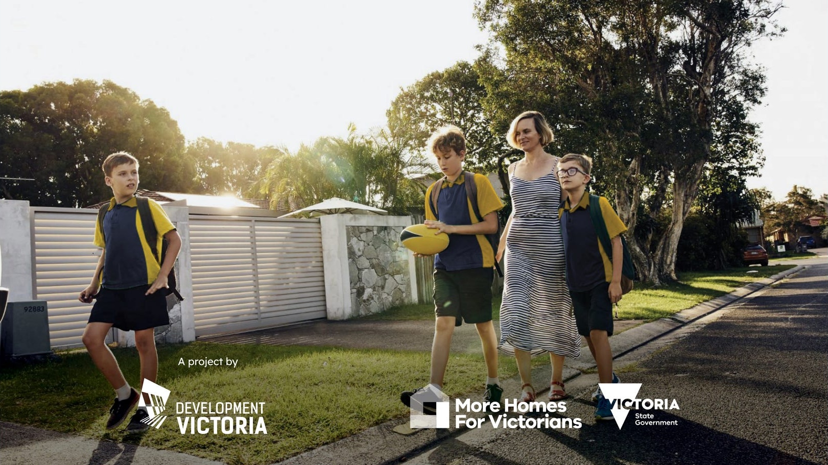 Olearia - Morwell Lifestyle