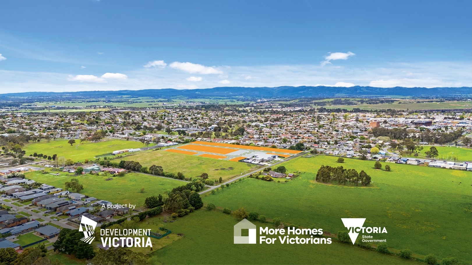 Olearia - Morwell Aerial