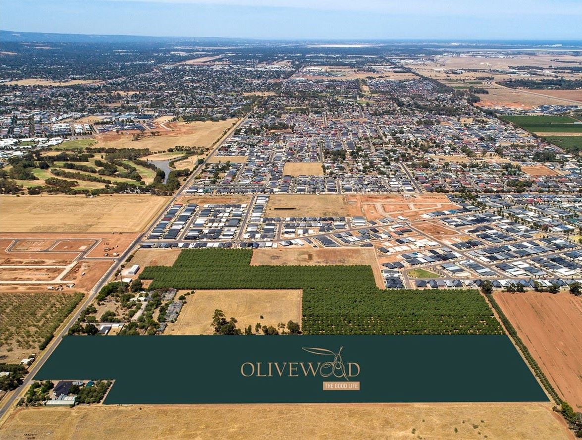 Olivewood Estate - Munno Para Downs Aerial