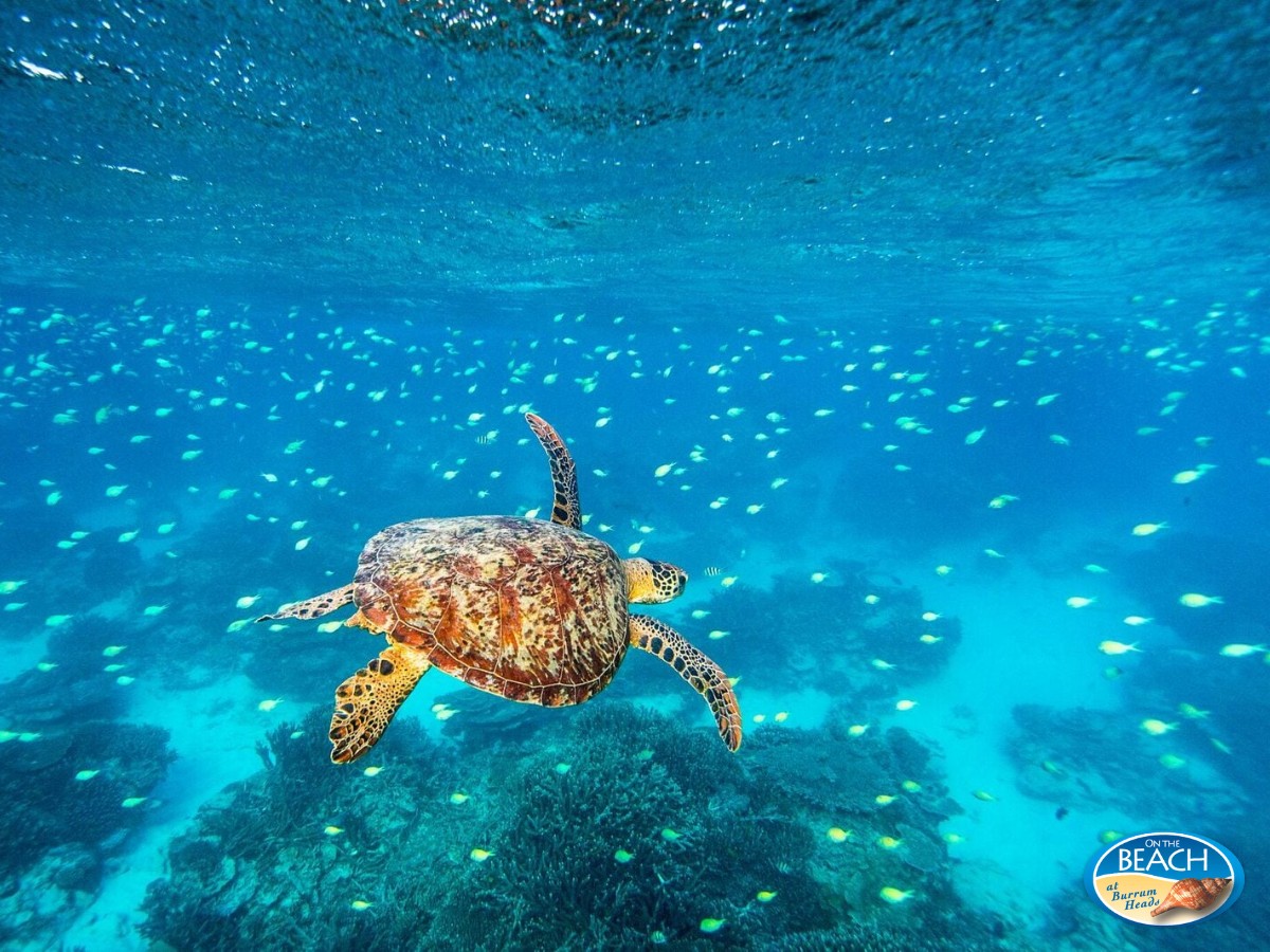 On The Beach Estate - Burrum Heads