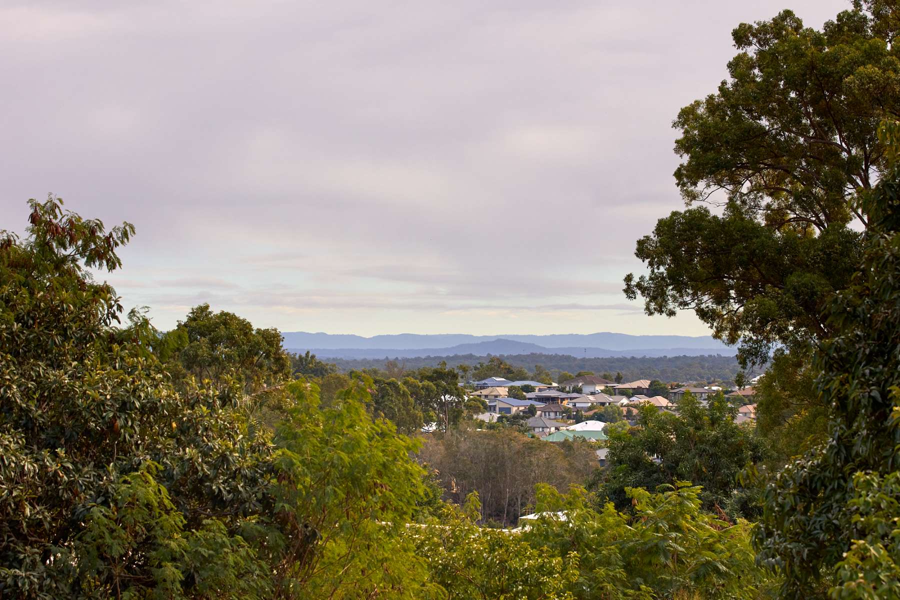 Panora Rise Estate - Narangba Lifestyle 3