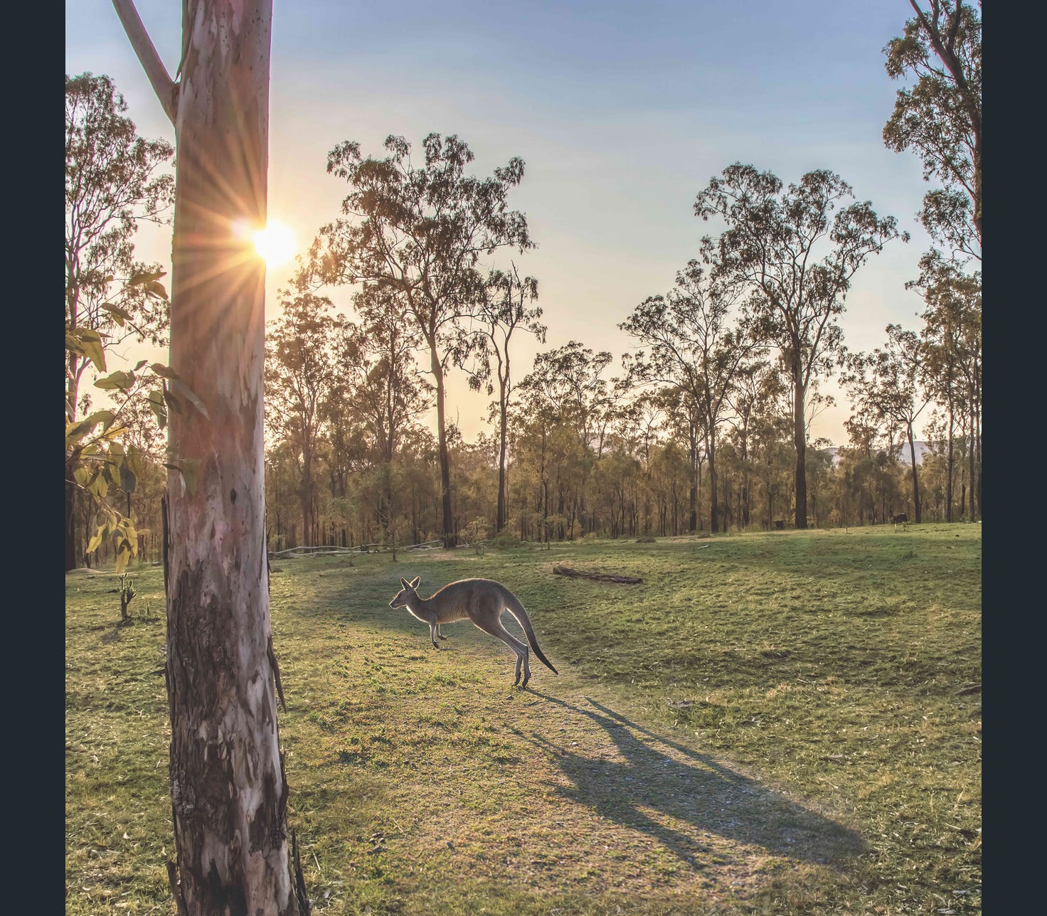 Parklands at Clarendon Estate - Rifle Range 