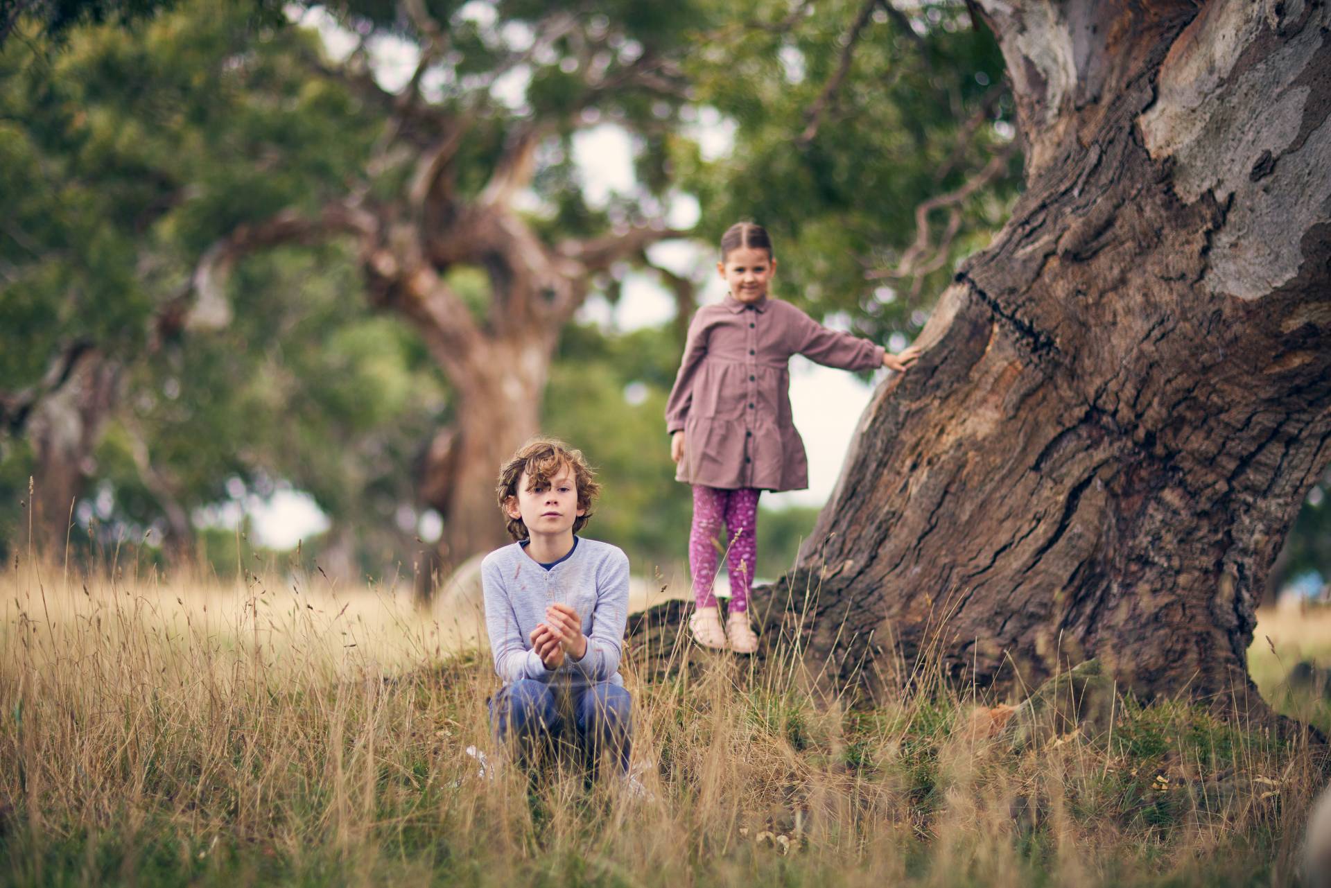 Peppercorn Hill Estate - Donnybrook Lifestyle
