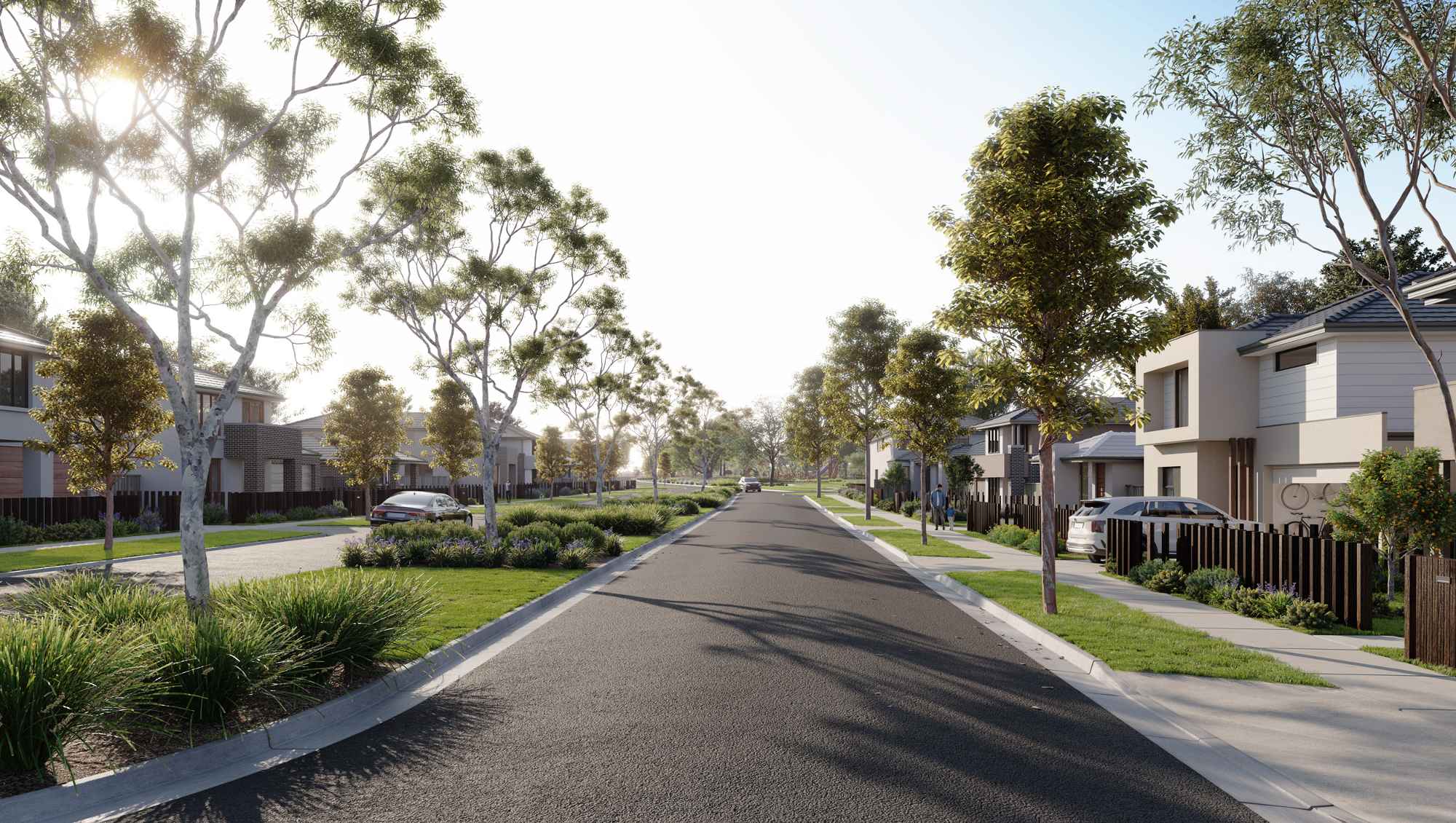 Peppercorn Hill Estate - Donnybrook Streetscape