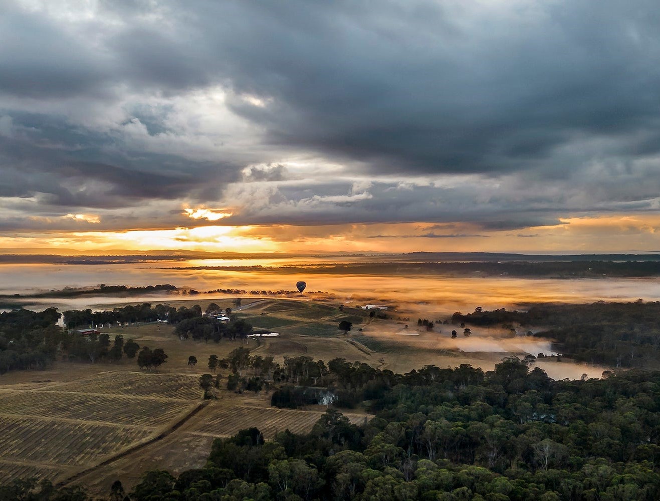 Pokolbin Estate Hunter Valley - Pokolbin Aerial