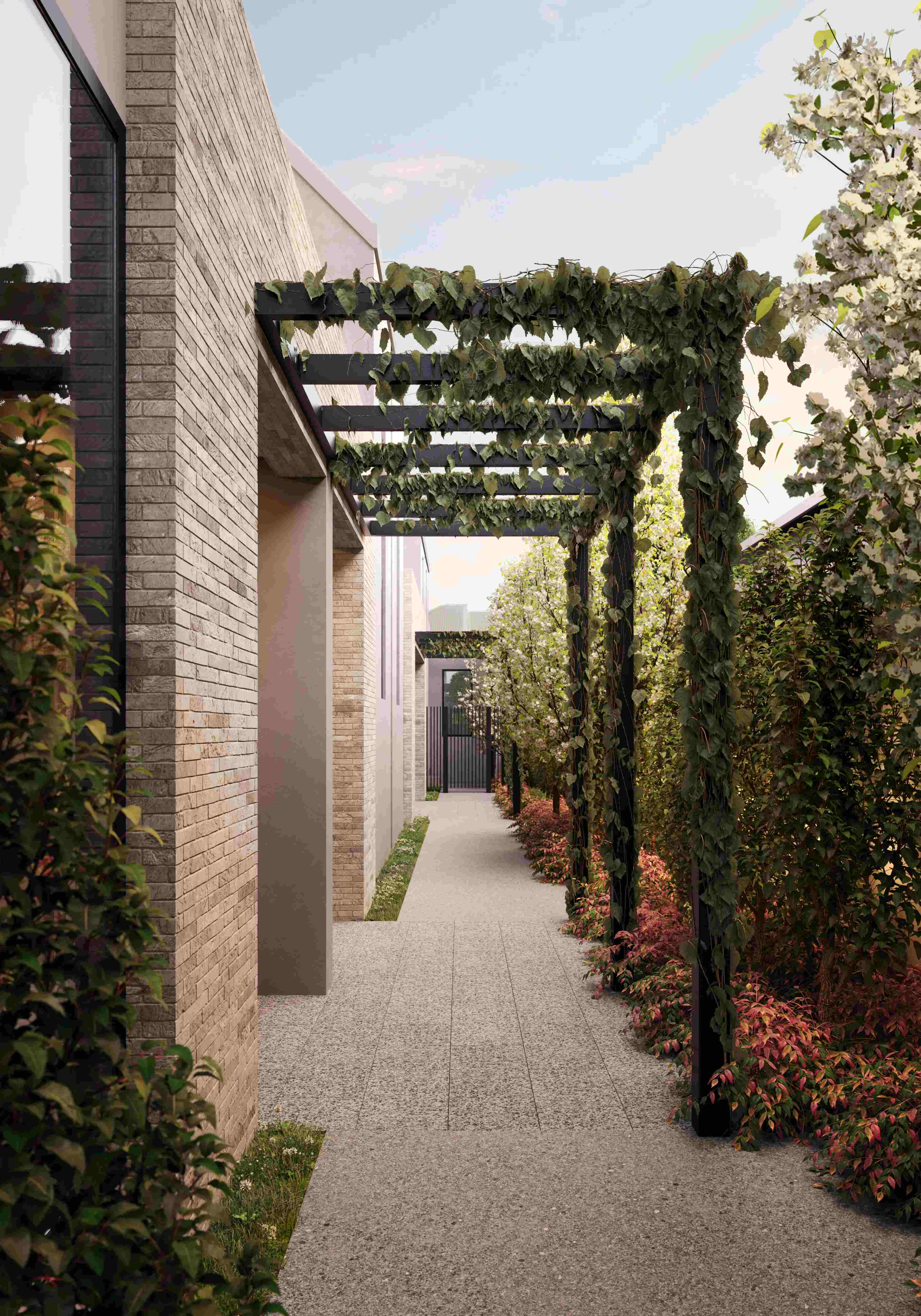 Prime Townhomes - Prahran Render