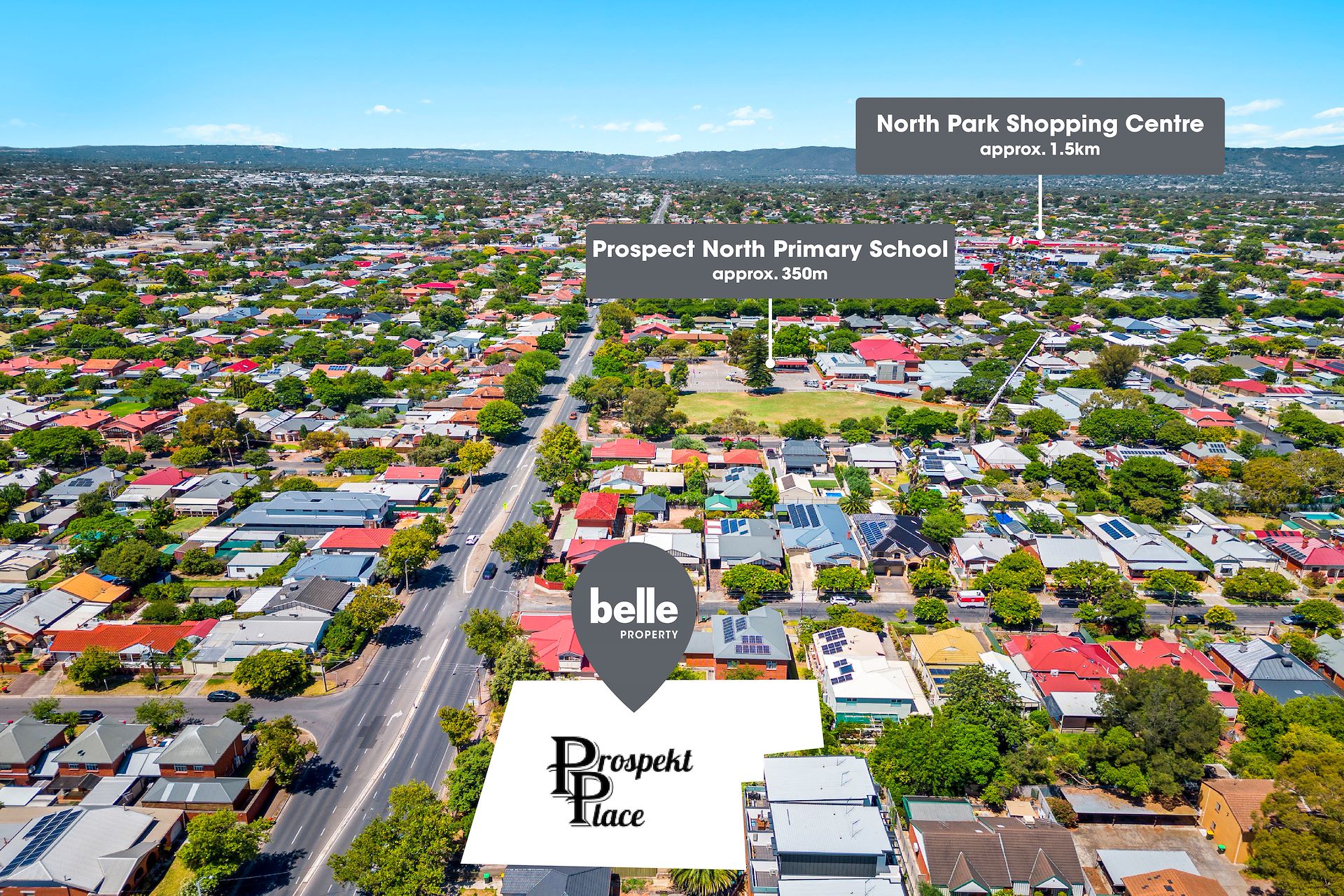 Prospekt Place Townhomes - Prospect Aerial