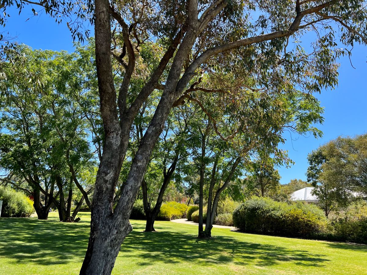 Providence Estate - Wellard 