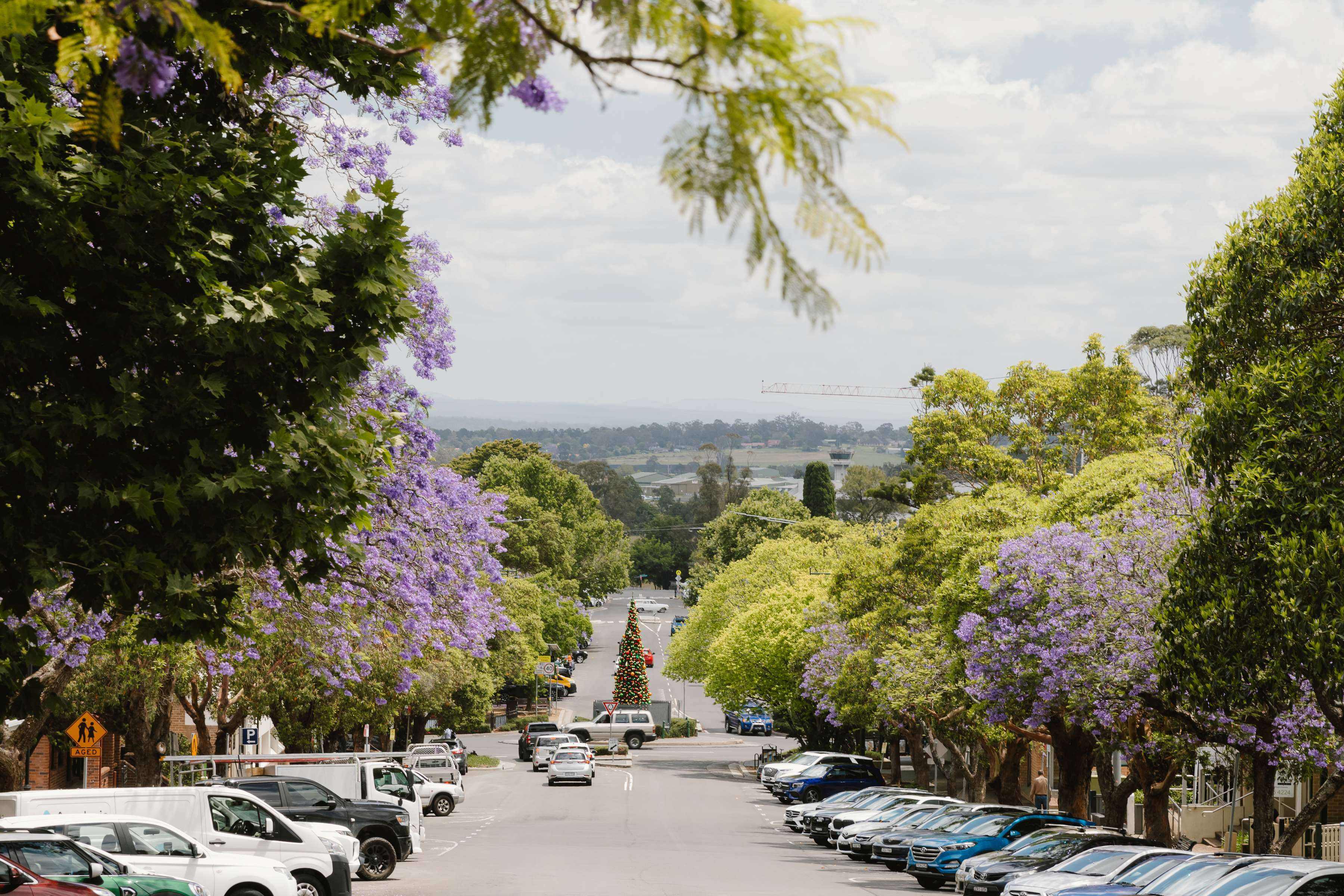 Ridgehaven Estate - Eldersli Streetscape