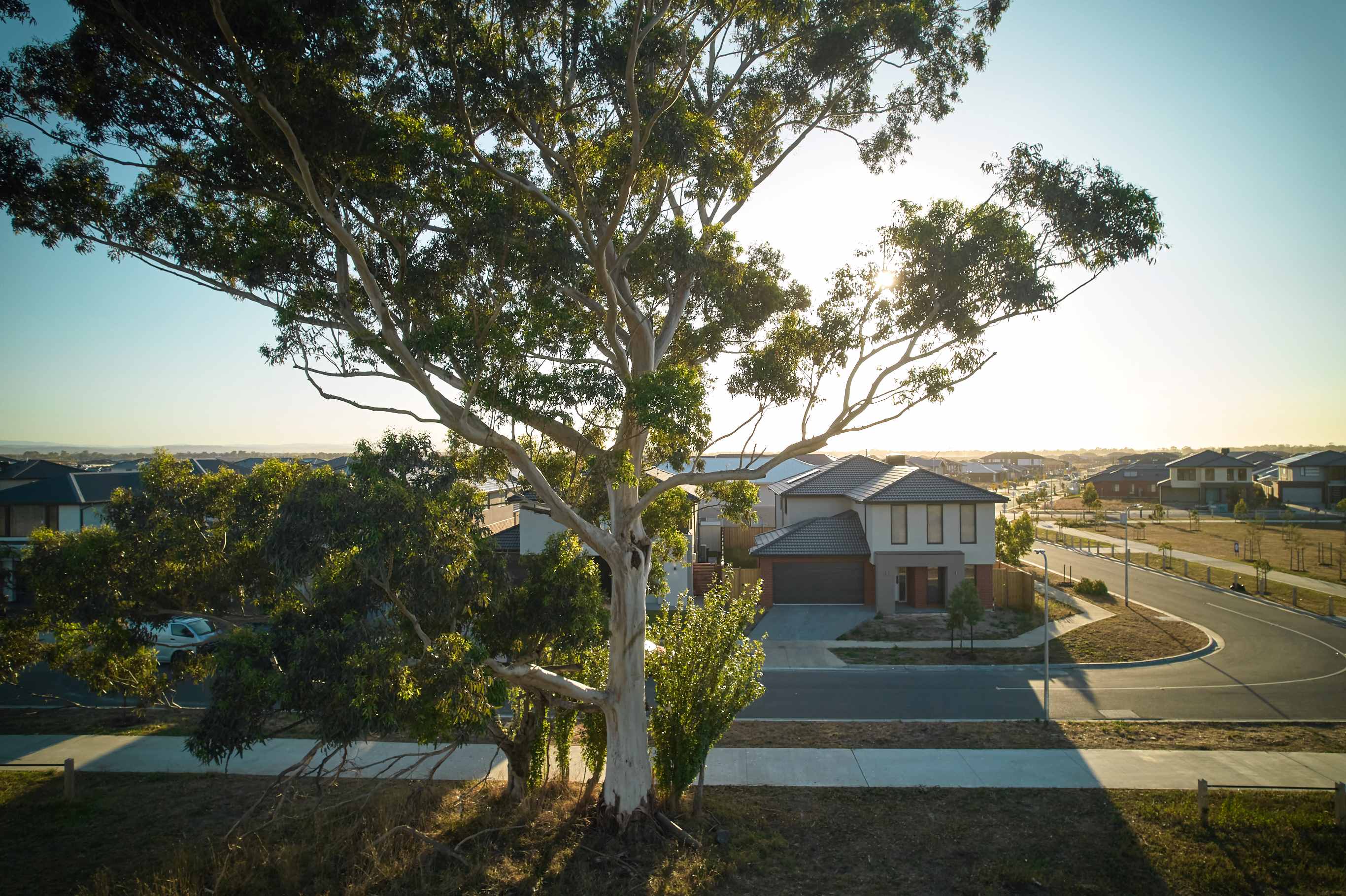 Riverfield Estate - Clyd Streetscape