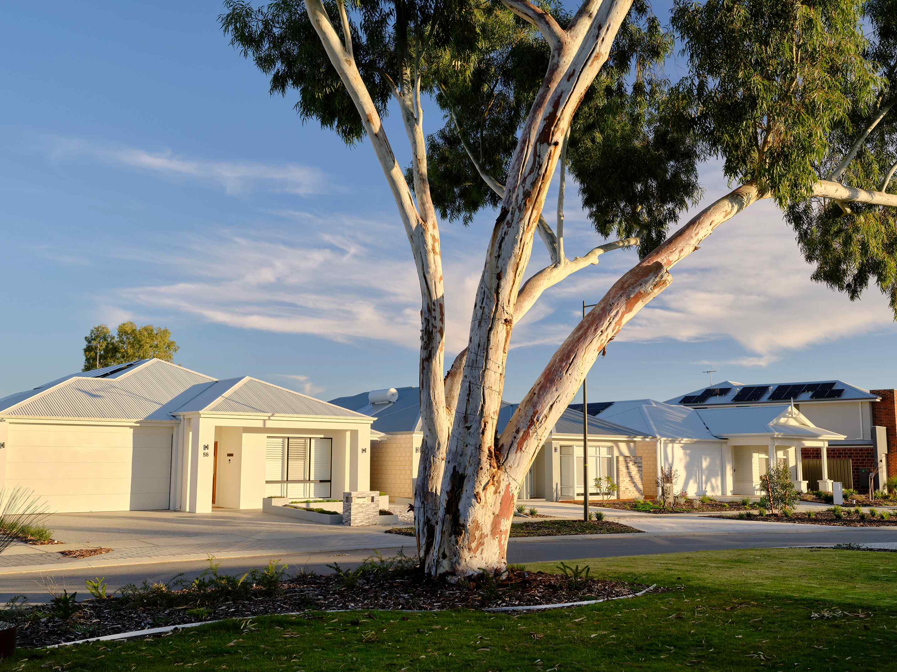 Rivermark Estate - Viveash Streetscape