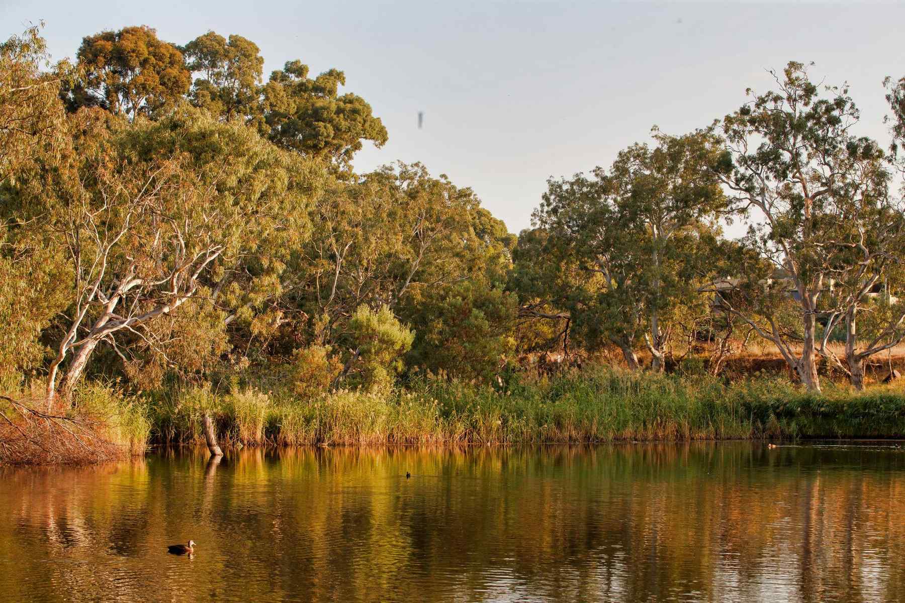 Riverwalk - Werribee