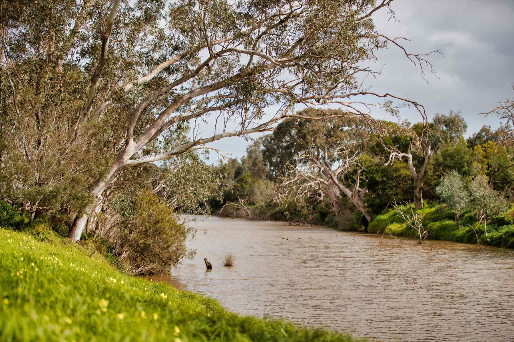 Riverwalk - Werribee
