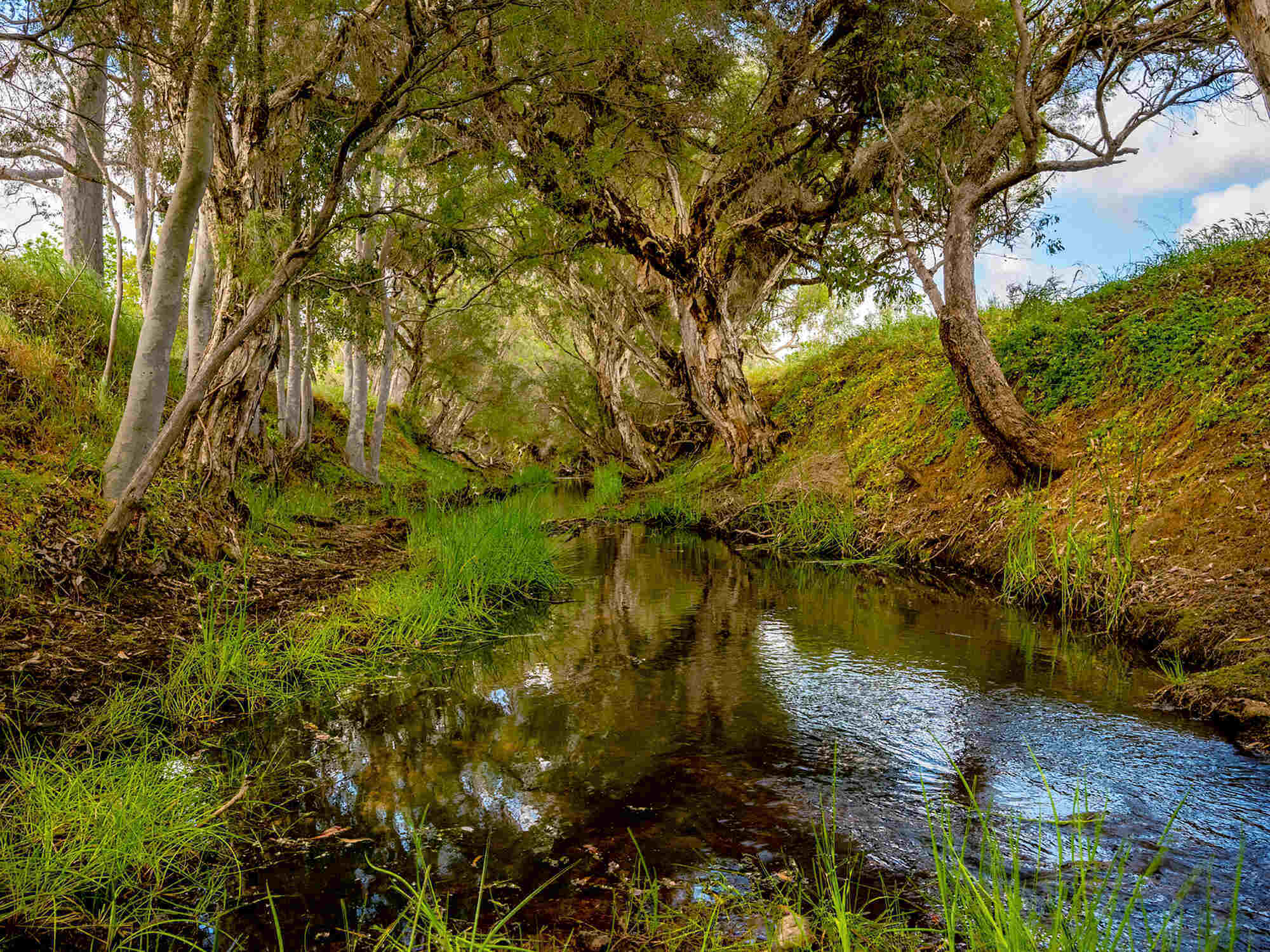 Riverwood Estate - North Dandalup