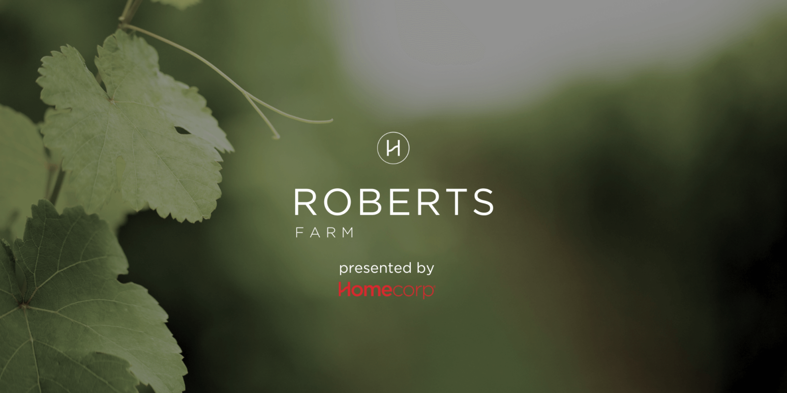 Roberts Farm Estate - Munno Para Downs Other