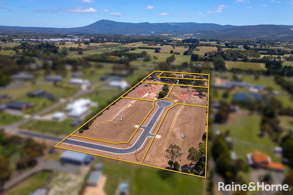 Saunders Rise Estate - New Gisborne Aerial
