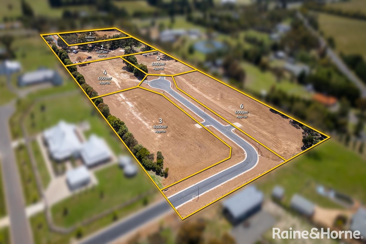 Saunders Rise Estate - New Gisborne Aerial