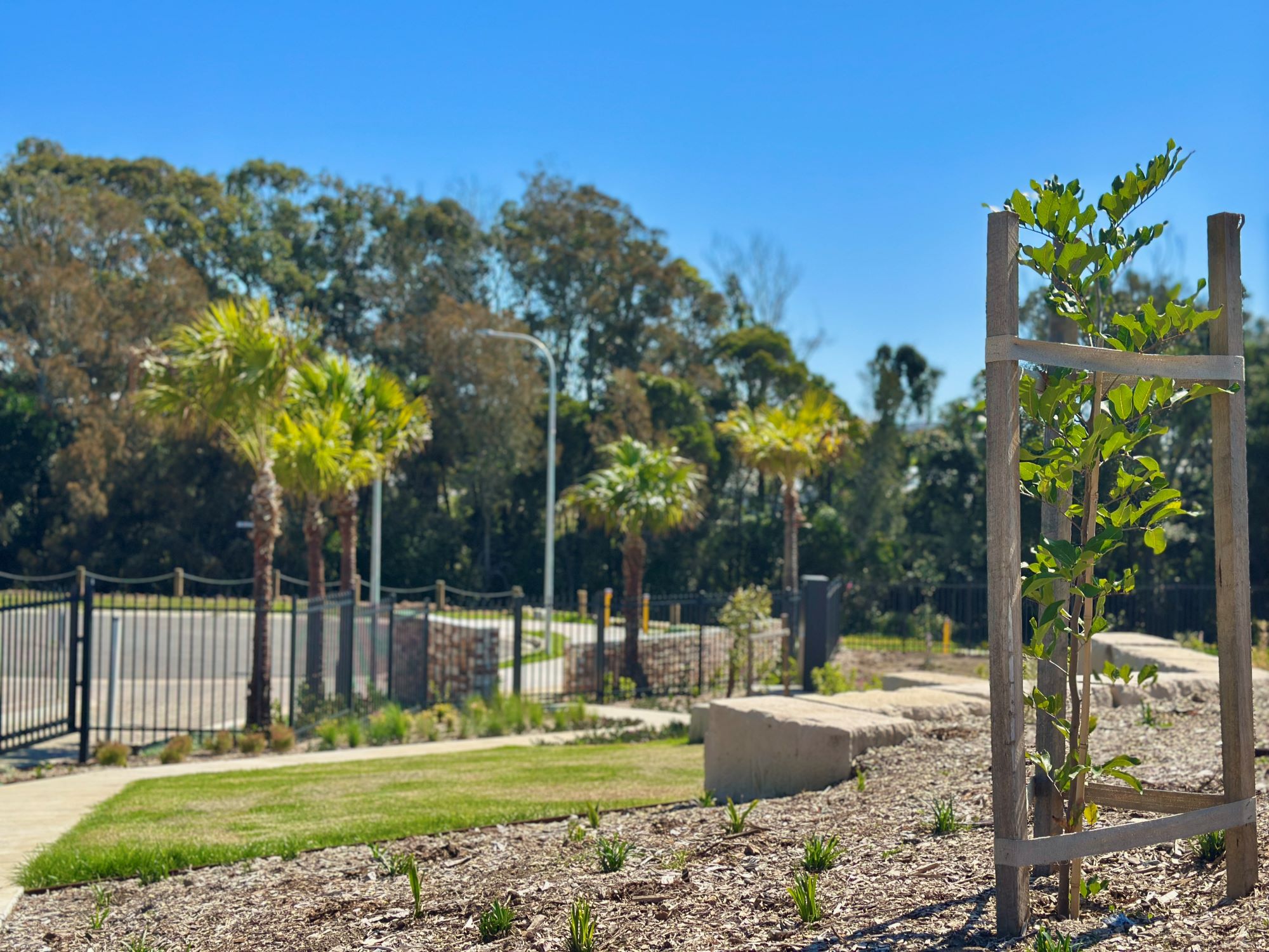 Seaview Estate at the Anchorage - Diamond Beach Amenities