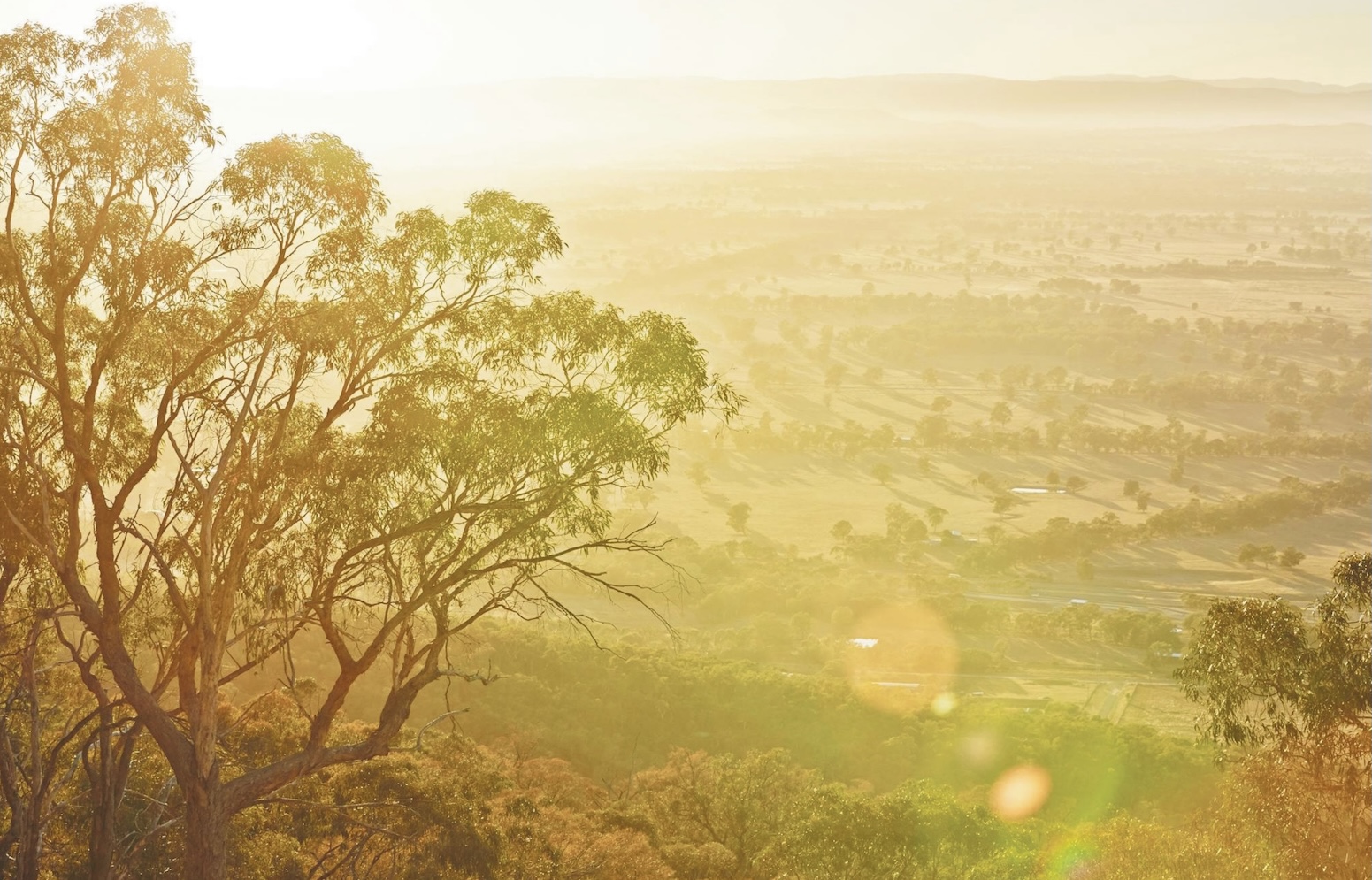 Seven Oaks Estate - Glenrowan Lifestyle