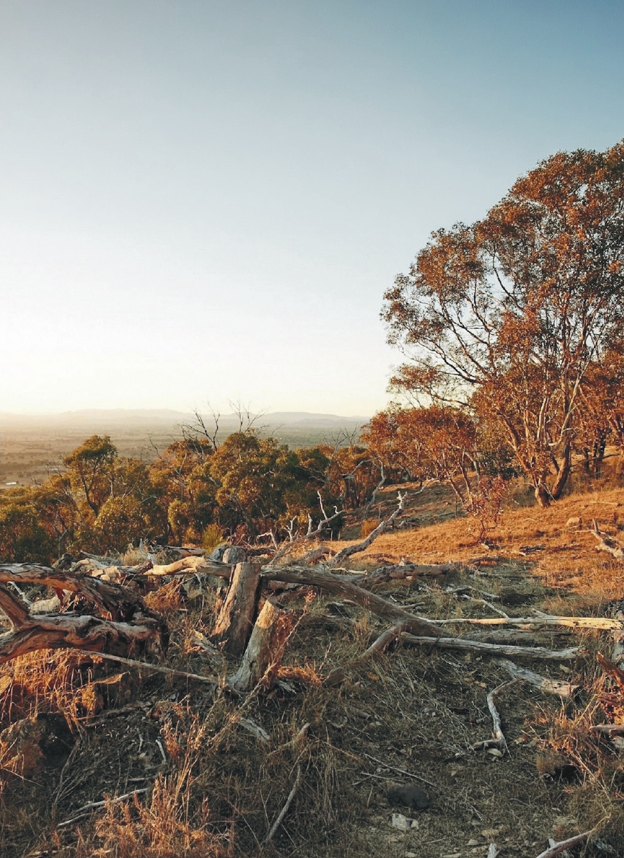 Seven Oaks Estate - Glenrowan Lifestyle