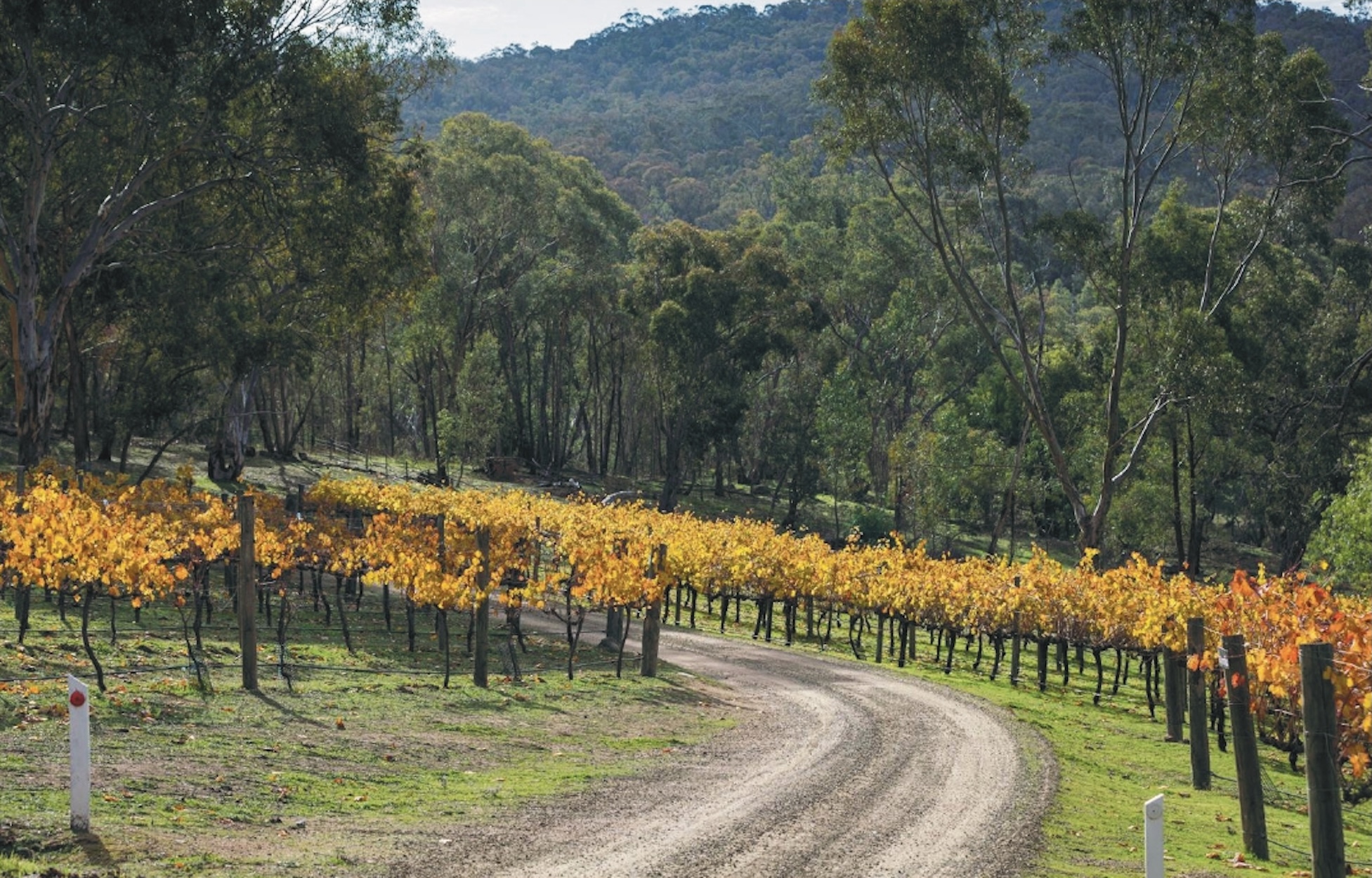 Seven Oaks Estate - Glenrowan Lifestyle