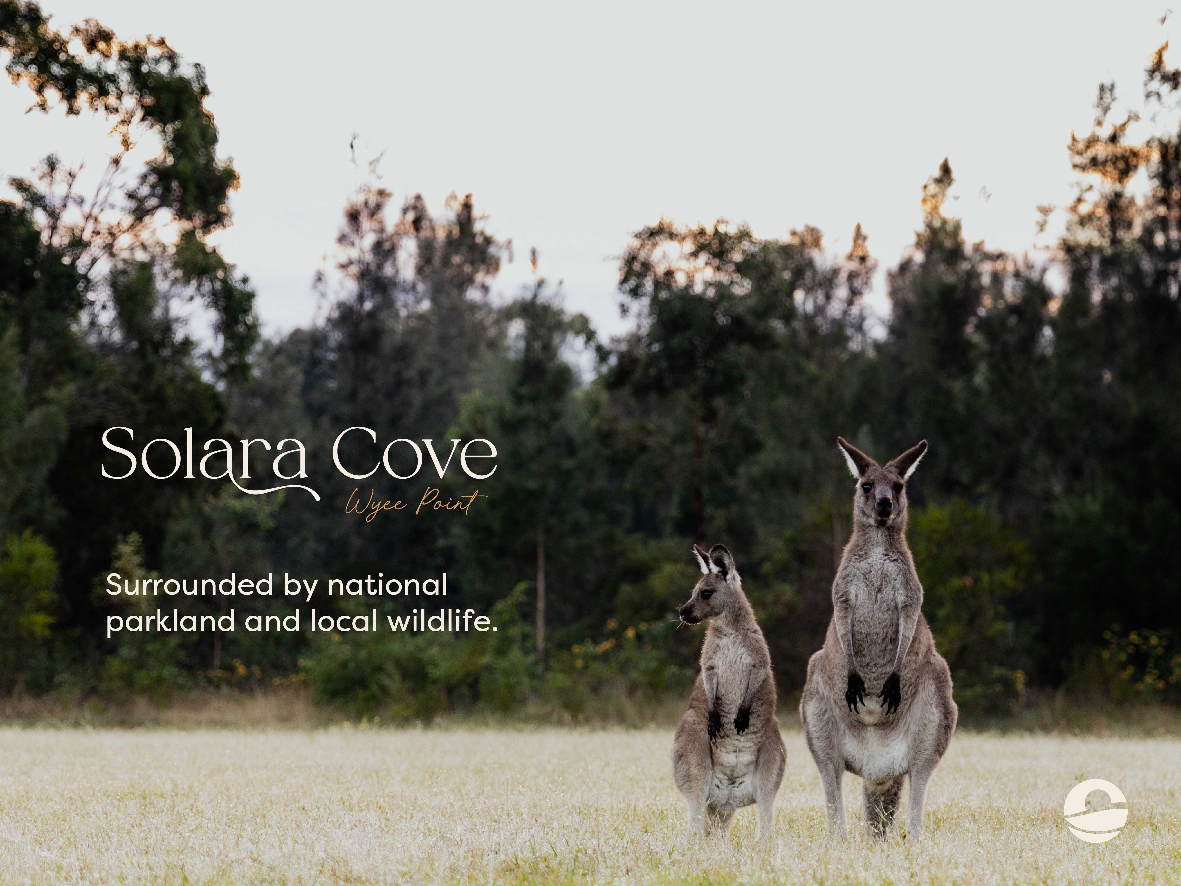Solara Cove Estate - Wyee Point 