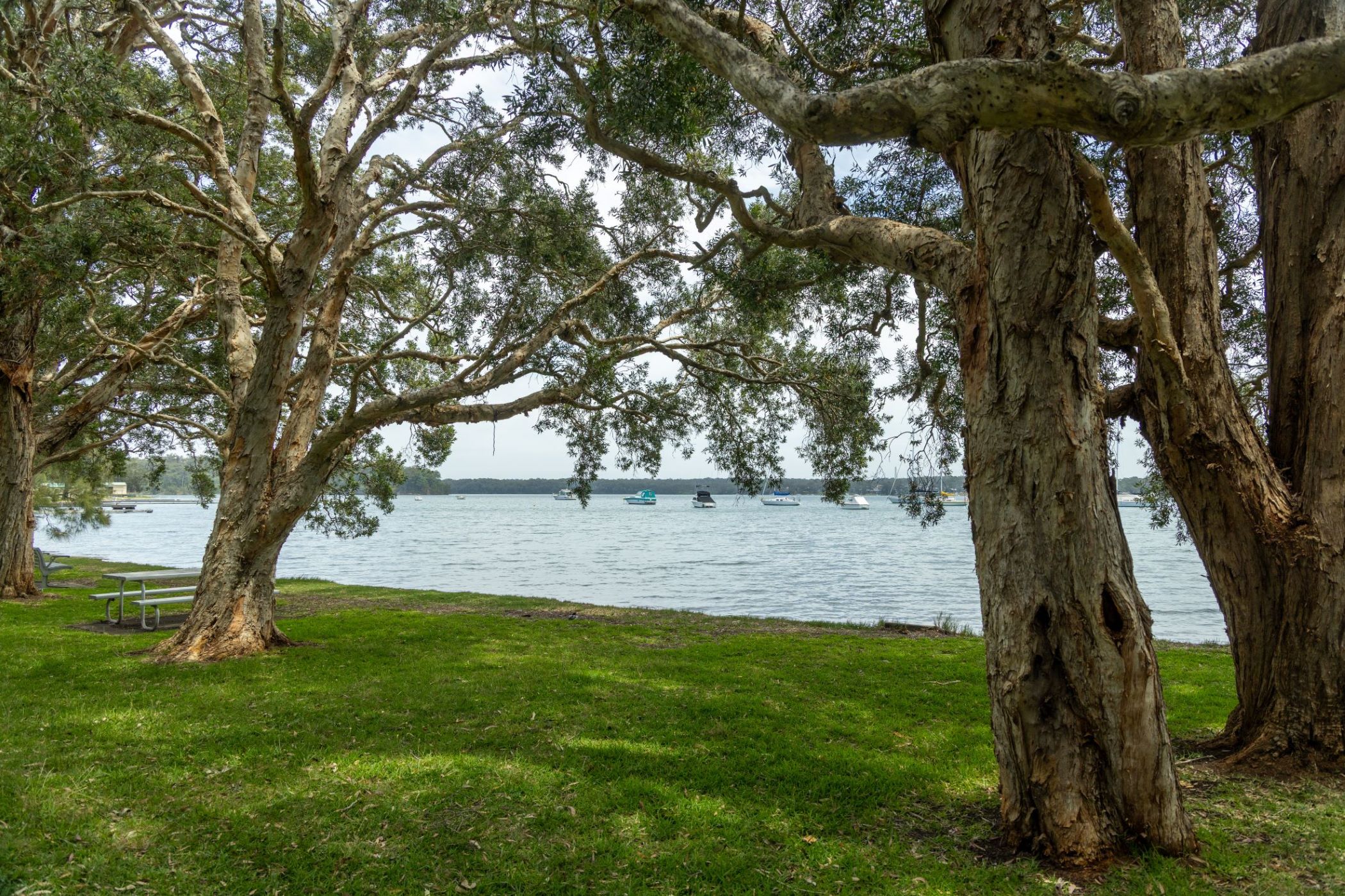 Solara Cove Estate - Wyee Point 