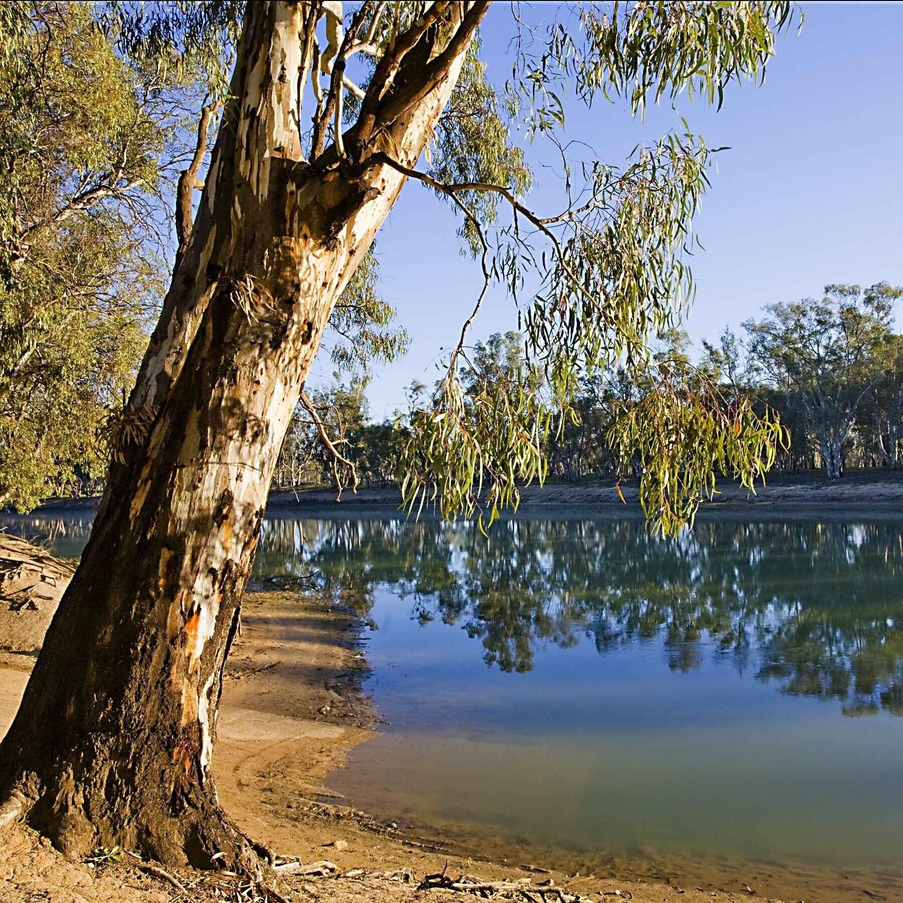Southview Estate - Swan Hill 