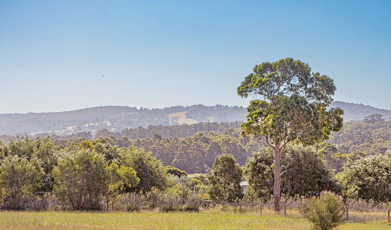 Springdale Beach Estate - Hay Streetscape