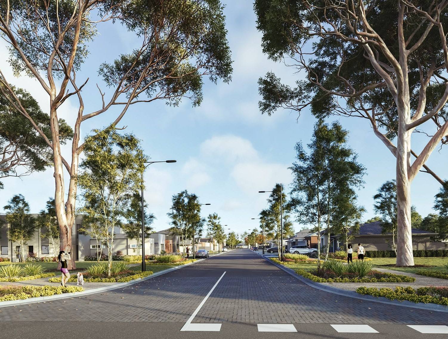 St Andrews Estate - Andrews Farm Streetscape