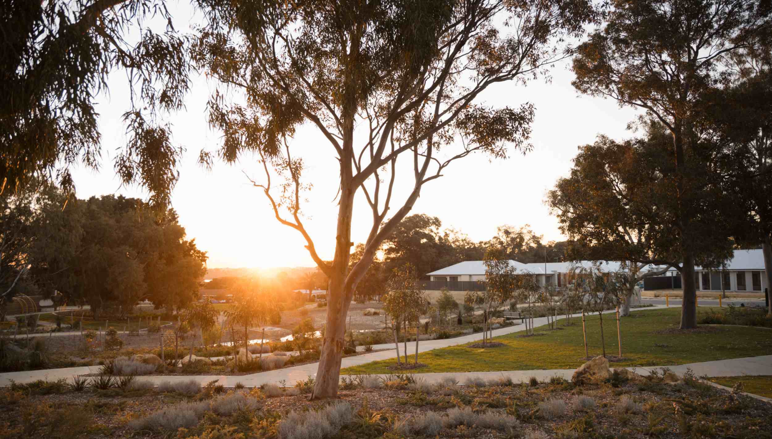 Stockland Grevillea - Mariginiup Park