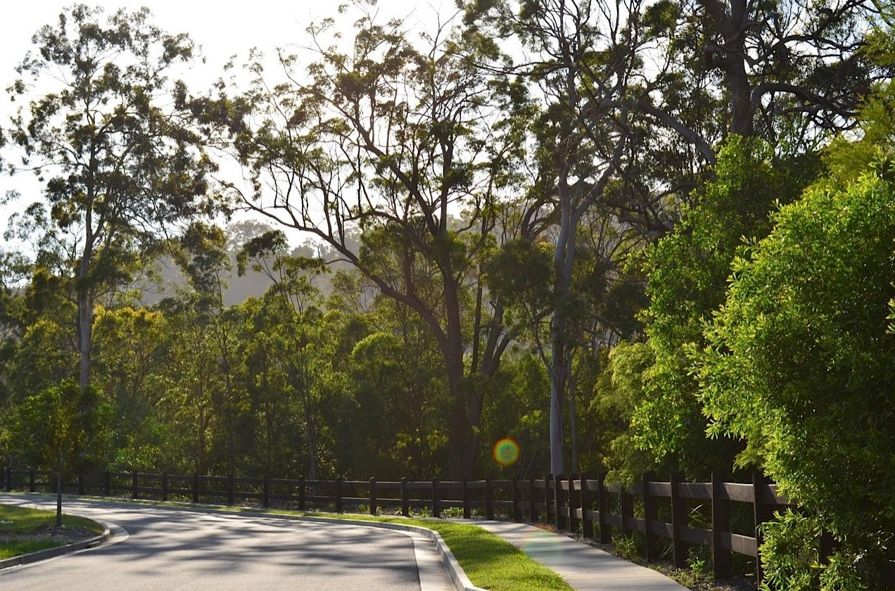 Stone Creek Estate - Upper Coomera Streetscape