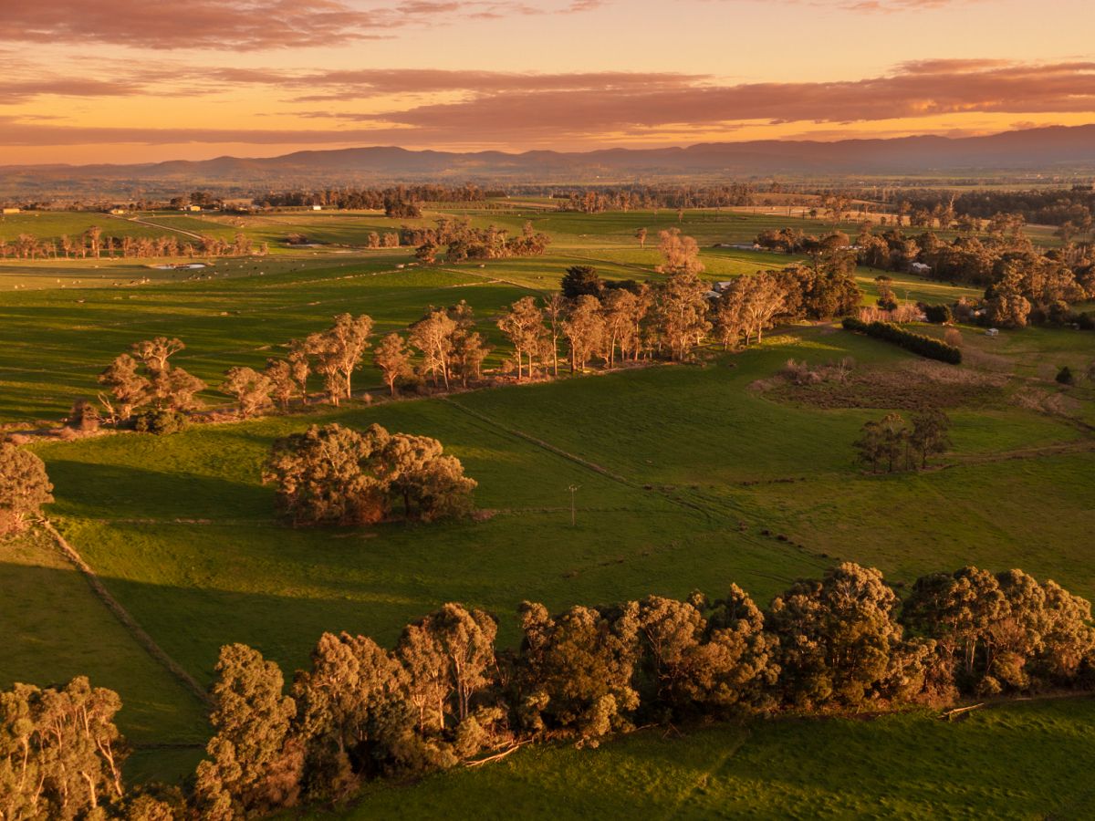 Stony Creek Estate - Drouin Lifestyle
