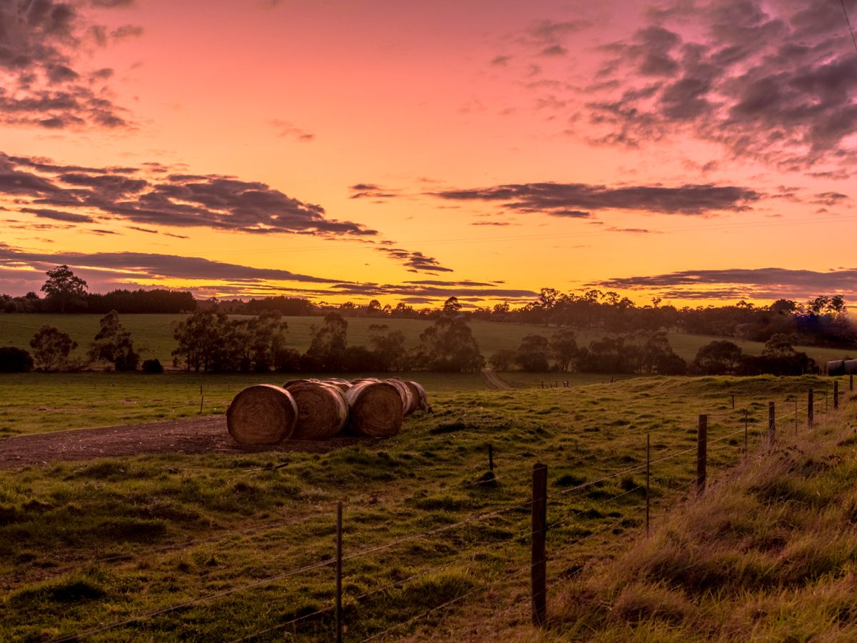 Stony Creek Estate - Drouin Lifestyle