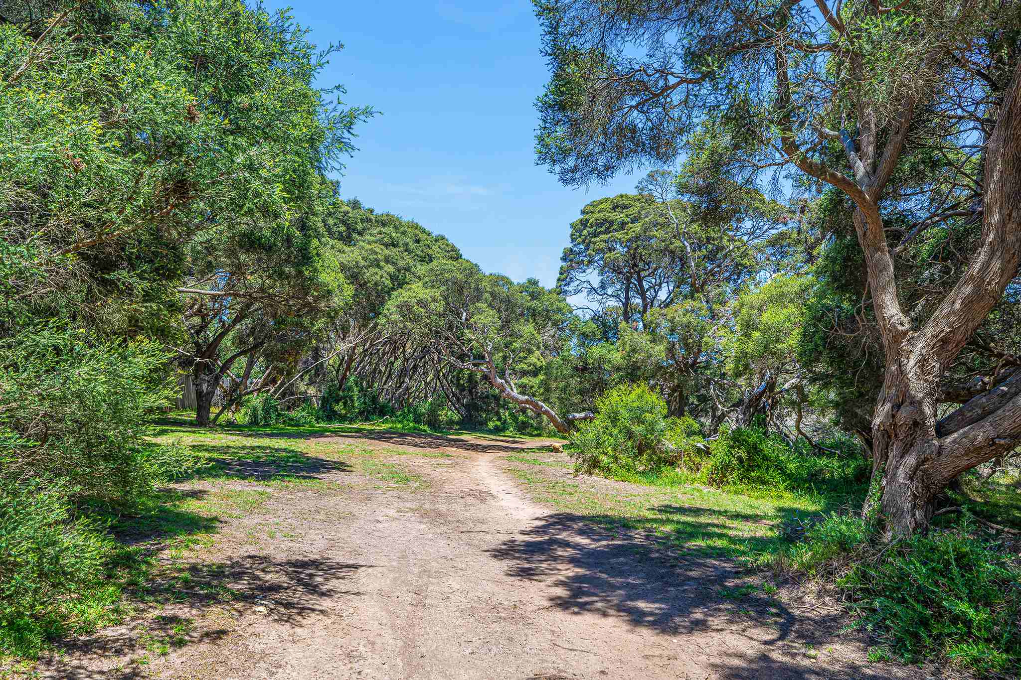 Surf View Estate - Torquay Park