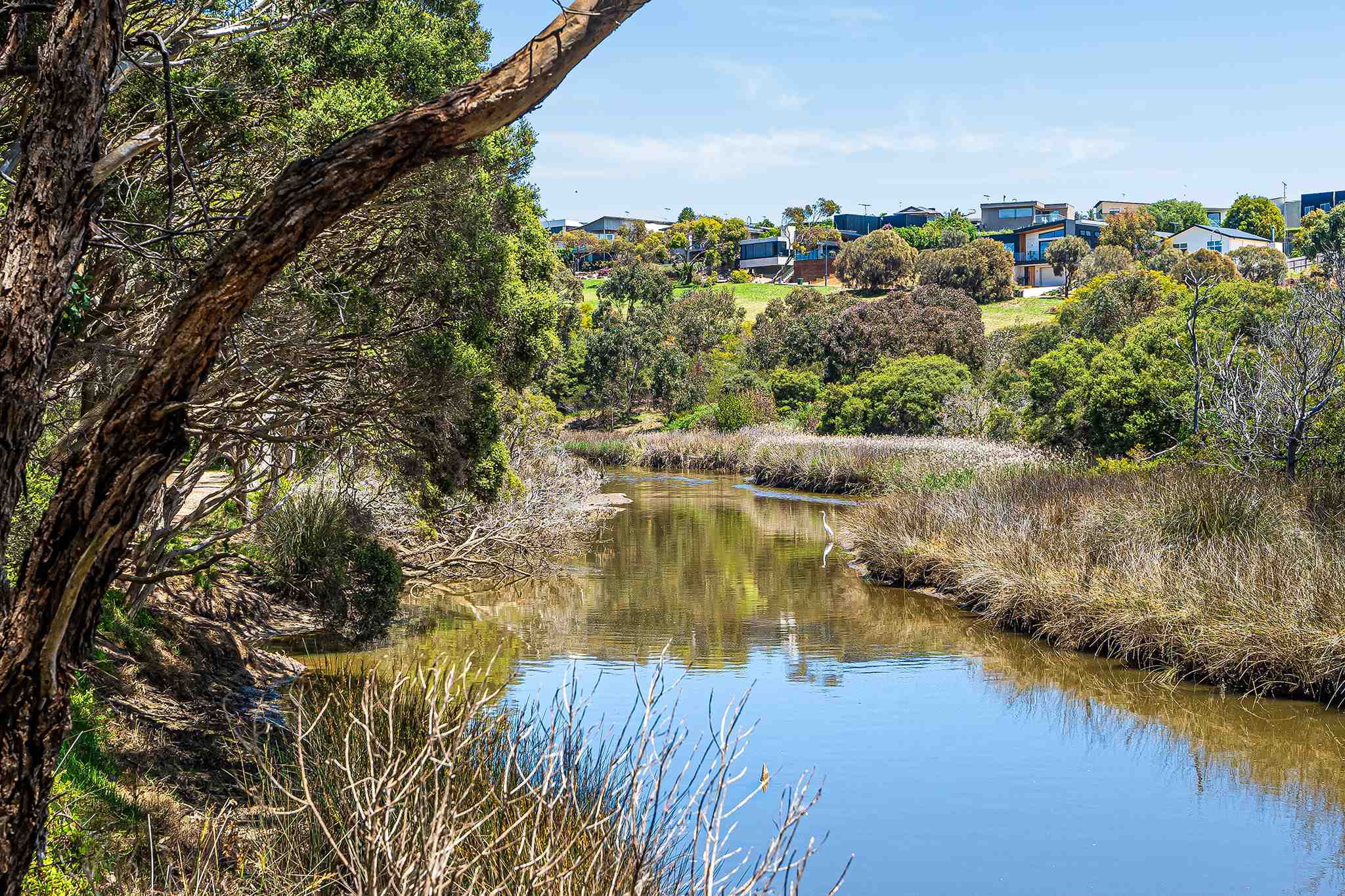 Surf View Estate - Torquay Streetscape
