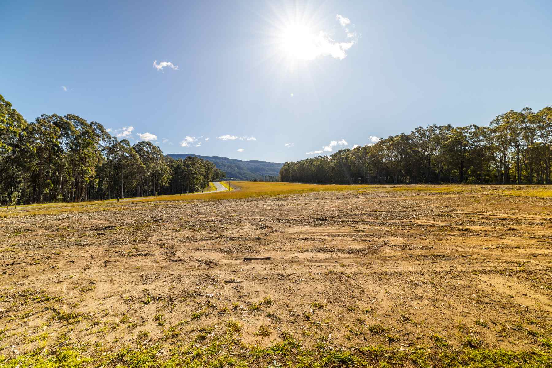 Tangala Estate - Tapitallee Environment 1