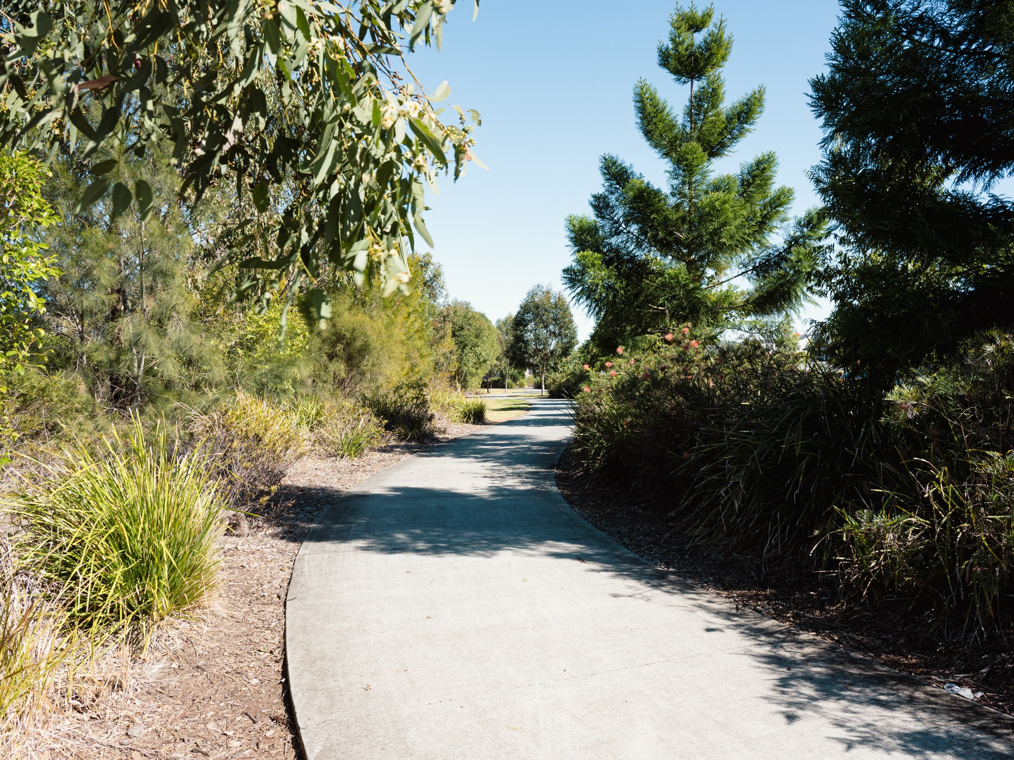 Taylors Ridge Estate - Walloon Lifestyle