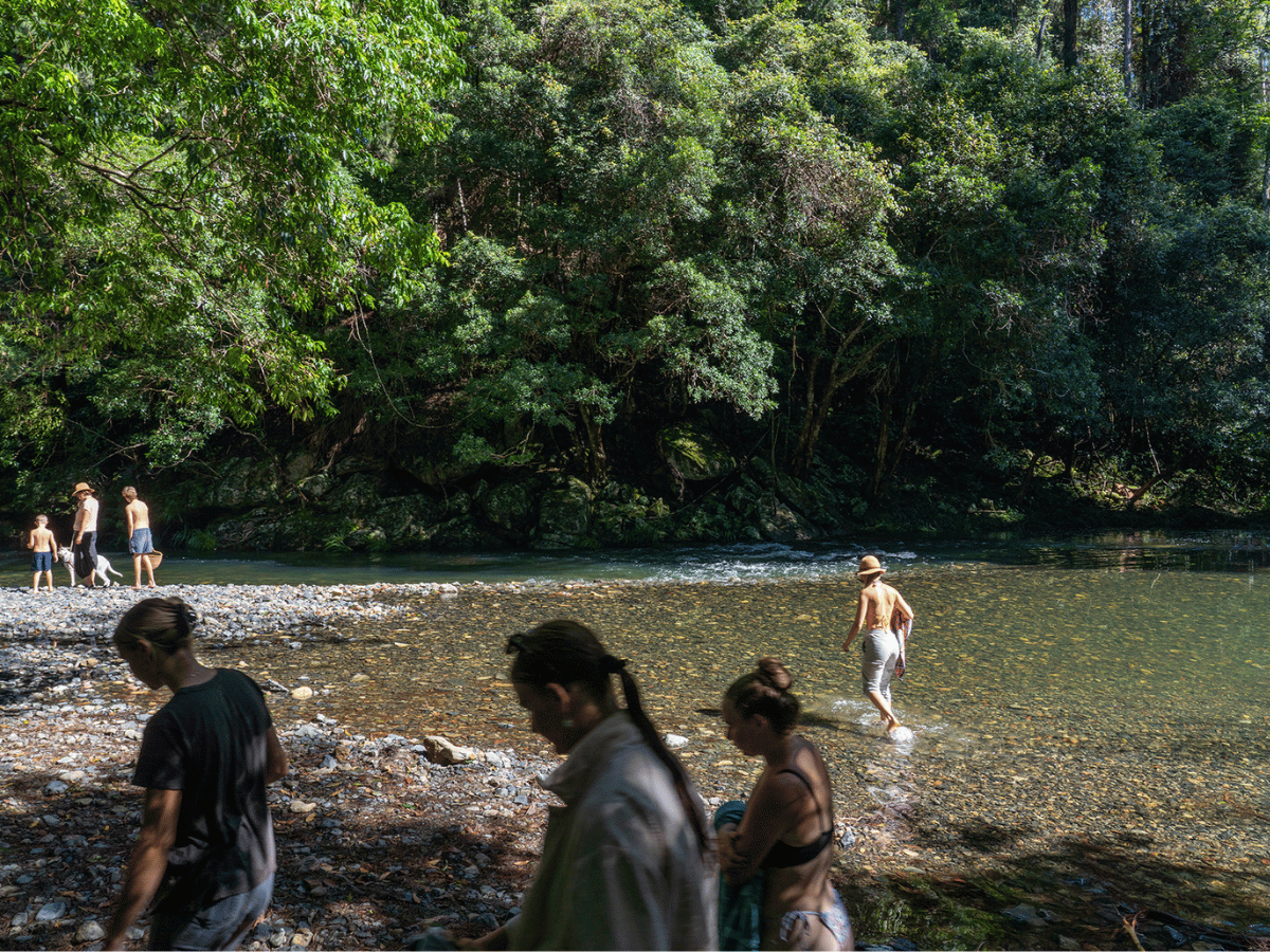 Taylors Rise Estate - Bellingen Lifestyle