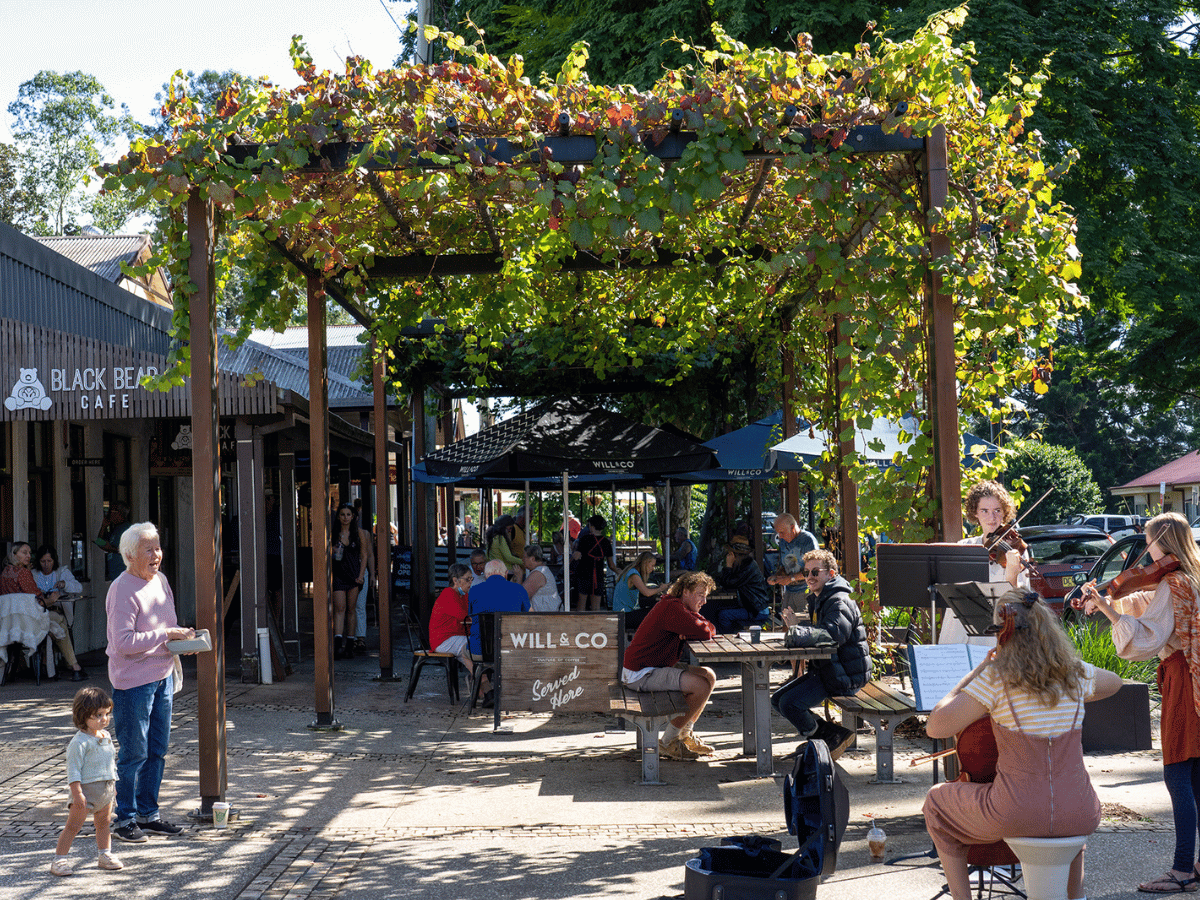 Taylors Rise Estate - Bellingen Lifestyle