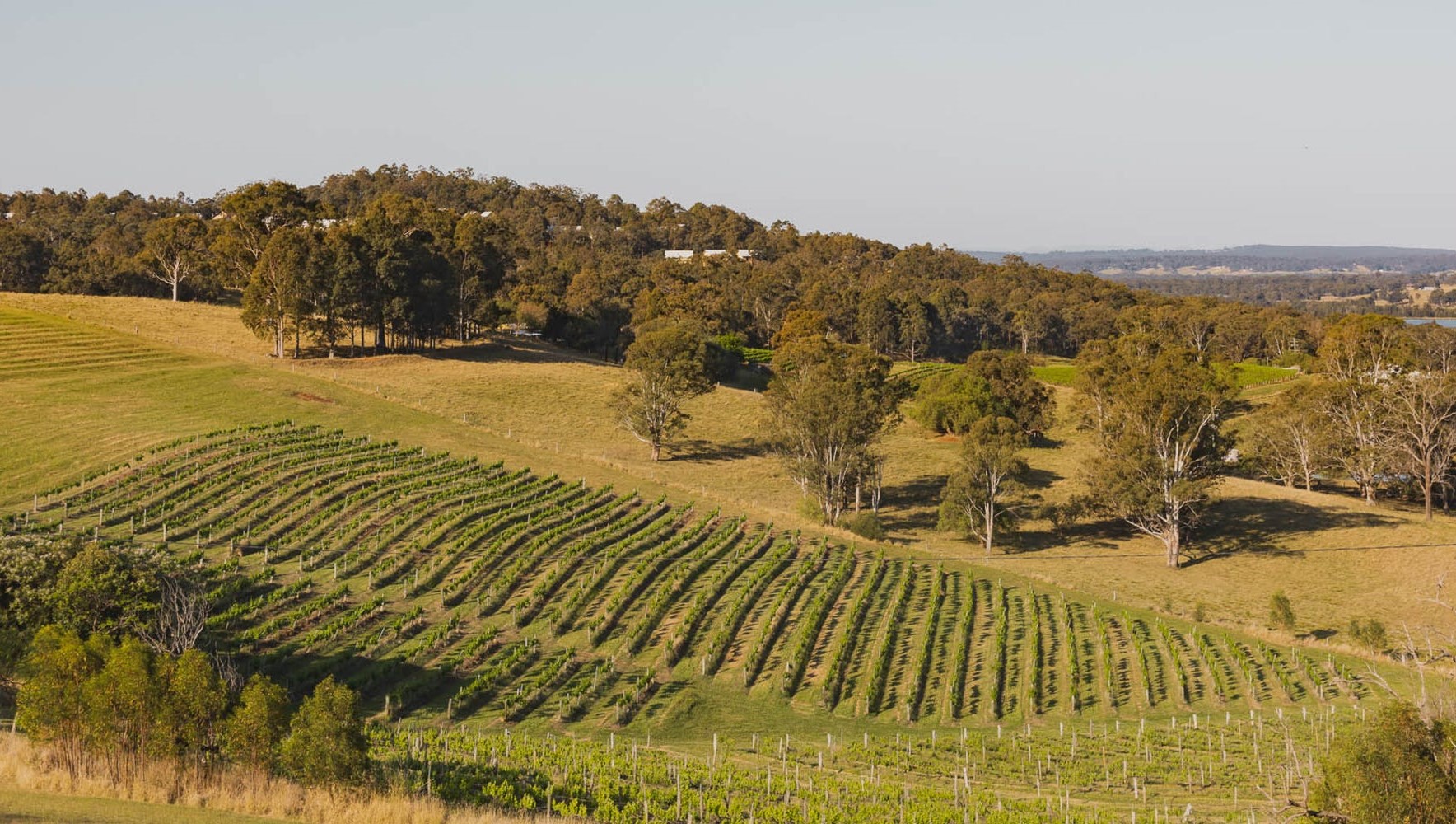 Tenison Heights Estate - Lochinvar Aerial