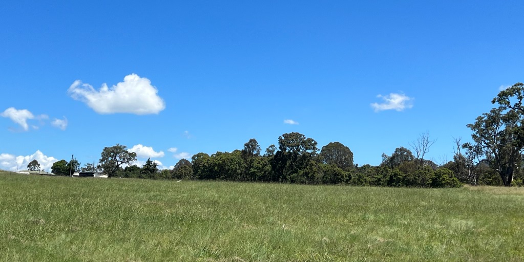 Tenterfield Rise Estate - Tenterfield 